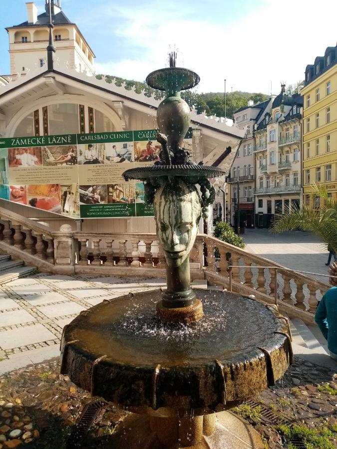 Apartman Orchidej U Vridla Karlovy Vary Exterior photo