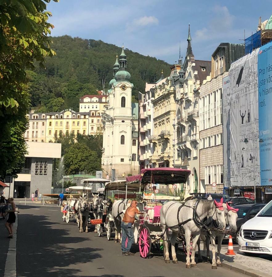 Apartman Orchidej U Vridla Karlovy Vary Exterior photo